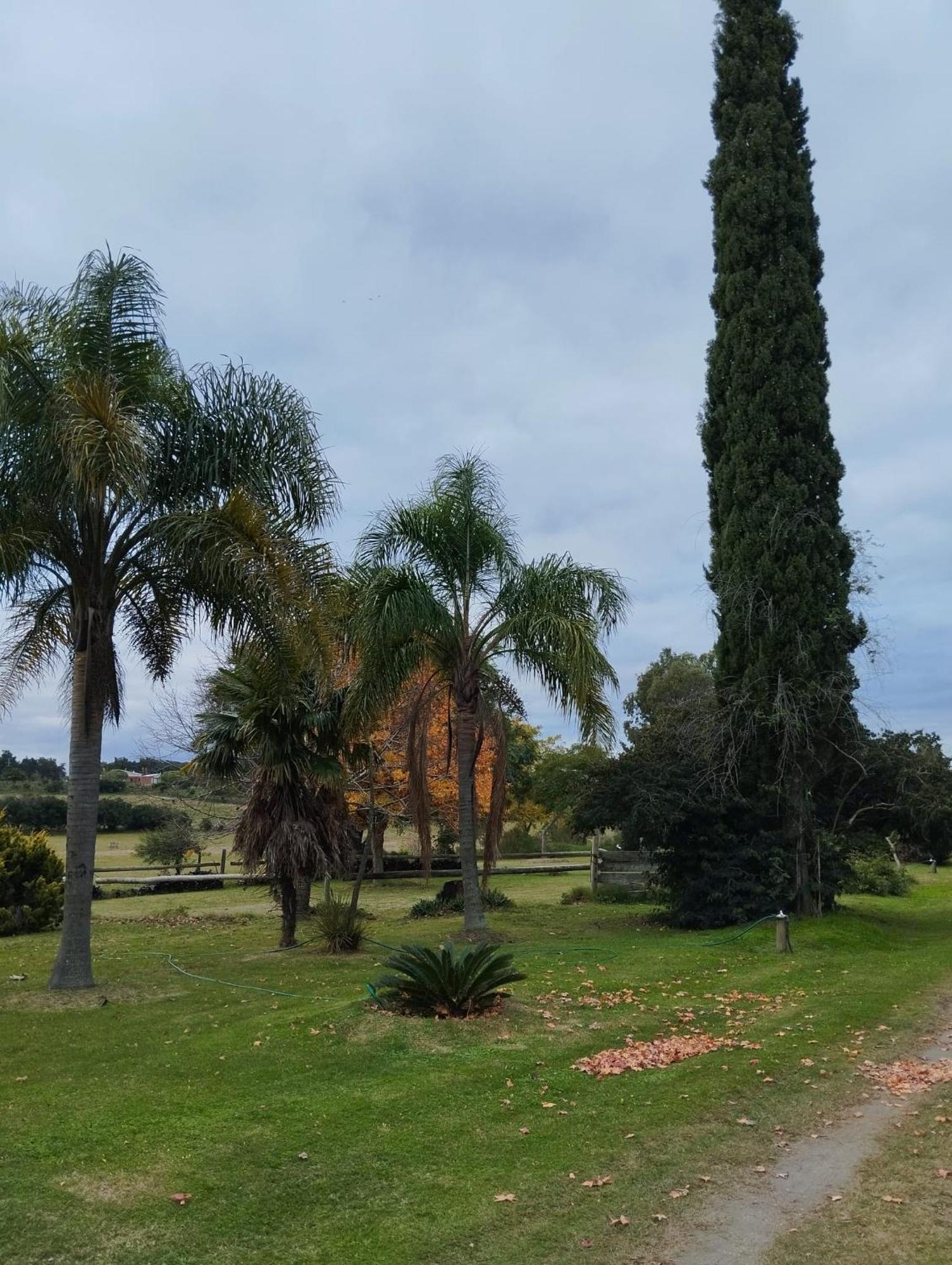 Pilmaiquen Villa Riachuelo Exterior photo